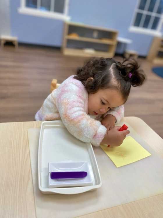 Preschooler concentrating on her work in a prepared environment. 