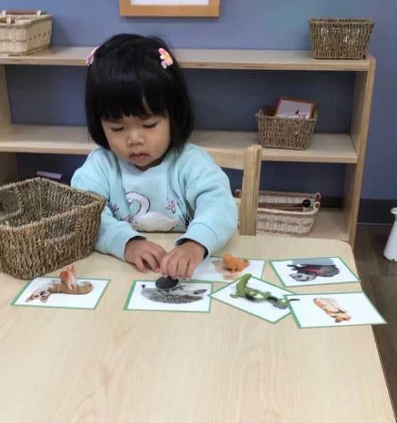 The Montessori method provides a place for children to explore and make choices.